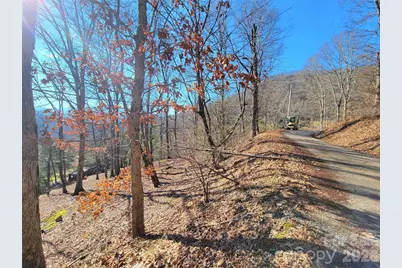 50 Feather Lane #50, Waynesville, NC 28786 - Photo 21