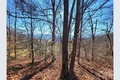 50 Feather Lane #50, Waynesville, NC 28786 - Photo 15