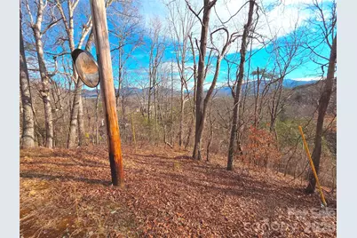 50 Feather Lane #50, Waynesville, NC 28786 - Photo 19