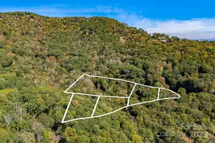 191 Ivy Way, Mars Hill, NC 28754 - Photo 3