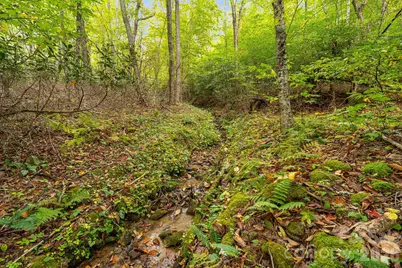 191 Ivy Way, Mars Hill, NC 28754 - Photo 37