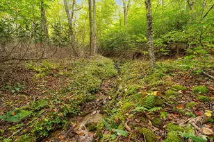 191 Ivy Way, Mars Hill, NC 28754 - Photo 37