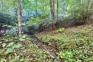 191 Ivy Way, Mars Hill, NC 28754 - Photo 39