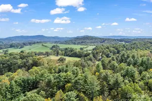 128 Cook Ln, Mills River, NC 28759 - Photo 37