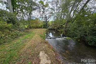 128 Cook Ln, Mills River, NC 28759 - Photo 19