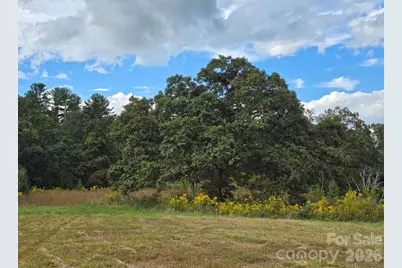 128 Cook Lane, Mills River, NC 28759 - Photo 11