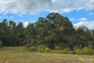 128 Cook Ln, Mills River, NC 28759 - Photo 11