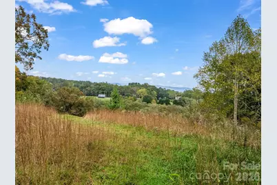 128 Cook Lane, Mills River, NC 28759 - Photo 41