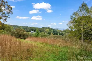 128 Cook Ln, Mills River, NC 28759 - Photo 41