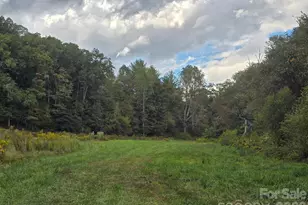 128 Cook Ln, Mills River, NC 28759 - Photo 13