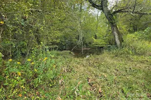 128 Cook Ln, Mills River, NC 28759 - Photo 17