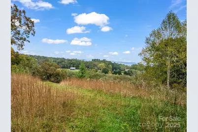 128 Cook Lane, Mills River, NC 28759 - Photo 41