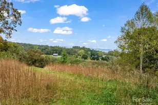 128 Cook Ln, Mills River, NC 28759 - Photo 41