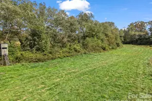 128 Cook Ln, Mills River, NC 28759 - Photo 33