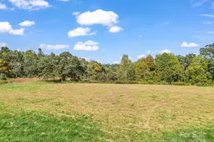 128 Cook Ln, Mills River, NC 28759 - Photo 43