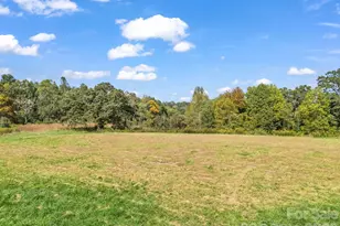 128 Cook Ln, Mills River, NC 28759 - Photo 43