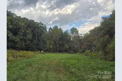 128 Cook Lane, Mills River, NC 28759 - Photo 13