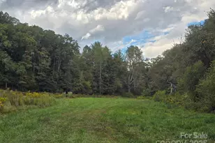 128 Cook Ln, Mills River, NC 28759 - Photo 13