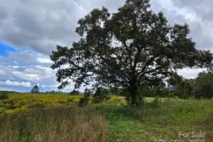 128 Cook Ln, Mills River, NC 28759 - Photo 1