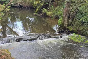 128 Cook Ln, Mills River, NC 28759 - Photo 3