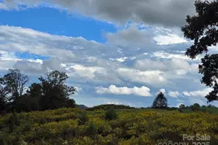 128 Cook Ln, Mills River, NC 28759 - Photo 15