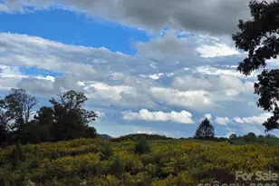 128 Cook Ln, Mills River, NC 28759 - Photo 15