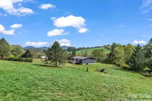 128 Cook Ln, Mills River, NC 28759 - Photo 31