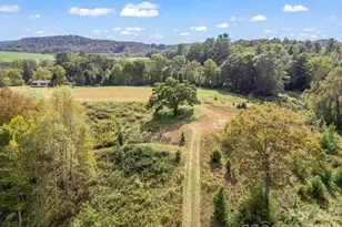 128 Cook Ln, Mills River, NC 28759 - Photo 1