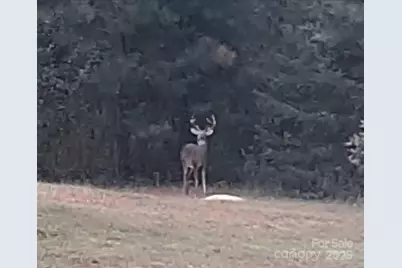 308 Frog Hollow Road, Rutherfordton, NC 28139 - Photo 33