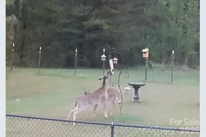 308 Frog Hollow Road, Rutherfordton, NC 28139 - Photo 31