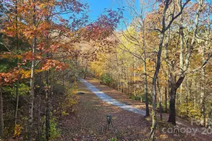 1655 Laurel Mountain View Rd, Flat Rock, NC 28731 - Photo 27