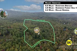 909 Green Hill Rd, Brevard, NC 28712 - Photo 41