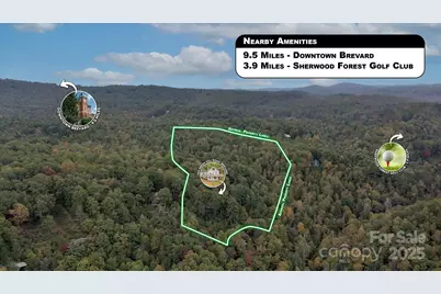 909 Green Hill Road, Brevard, NC 28712 - Photo 45