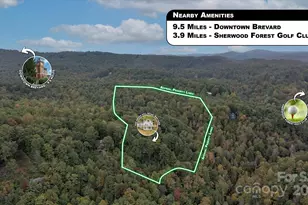 909 Green Hill Rd, Brevard, NC 28712 - Photo 45