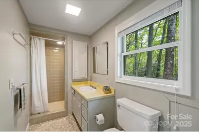 909 Green Hill Road, Brevard, NC 28712 - Photo 31