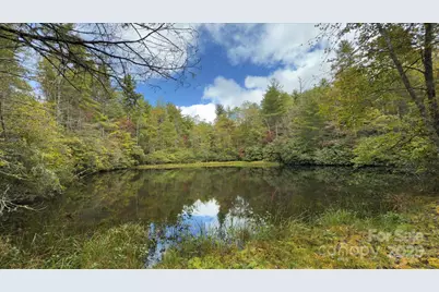 909 Green Hill Road, Brevard, NC 28712 - Photo 33