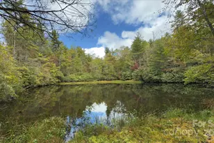 909 Green Hill Rd, Brevard, NC 28712 - Photo 33