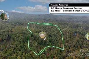 909 Green Hill Rd, Brevard, NC 28712 - Photo 39