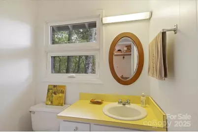 909 Green Hill Road, Brevard, NC 28712 - Photo 19