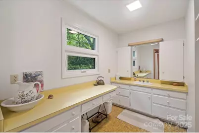 909 Green Hill Road, Brevard, NC 28712 - Photo 17