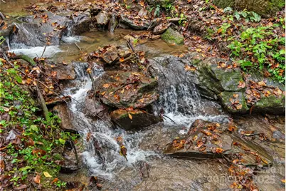 340 Henry Dingus Way, Maggie Valley, NC 28751 - Photo 39