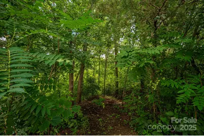 Lot 34 Line Drive, Forest City, NC 28043 - Photo 1