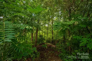 Lot 34 Line Dr, Forest City, NC 28043 - Photo 1