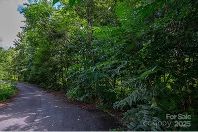 Lot 34 Line Drive, Forest City, NC 28043 - Photo 3