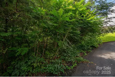 Lot 19 Line Drive, Forest City, NC 28043 - Photo 3