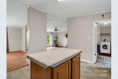 114 Leonards Lane, Weaverville, NC 28787 - Photo 11