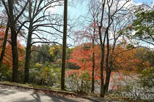 22 E Shore Dr, Asheville, NC 28805 - Photo 27