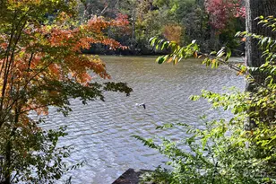 22 E Shore Dr, Asheville, NC 28805 - Photo 31