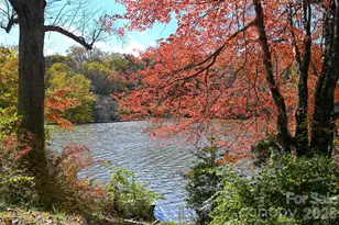 22 E Shore Dr, Asheville, NC 28805 - Photo 29