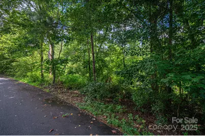 Lot 32 Line Drive, Forest City, NC 28043 - Photo 5